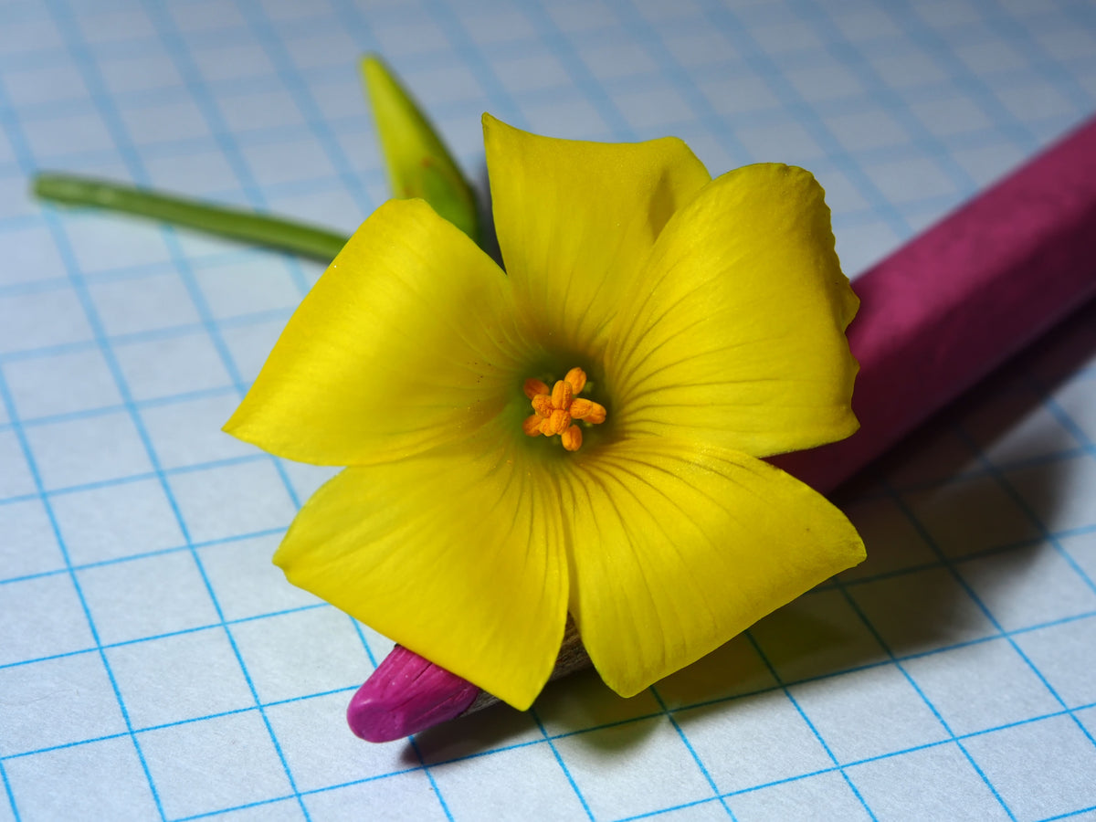 Another light 7"  background photo