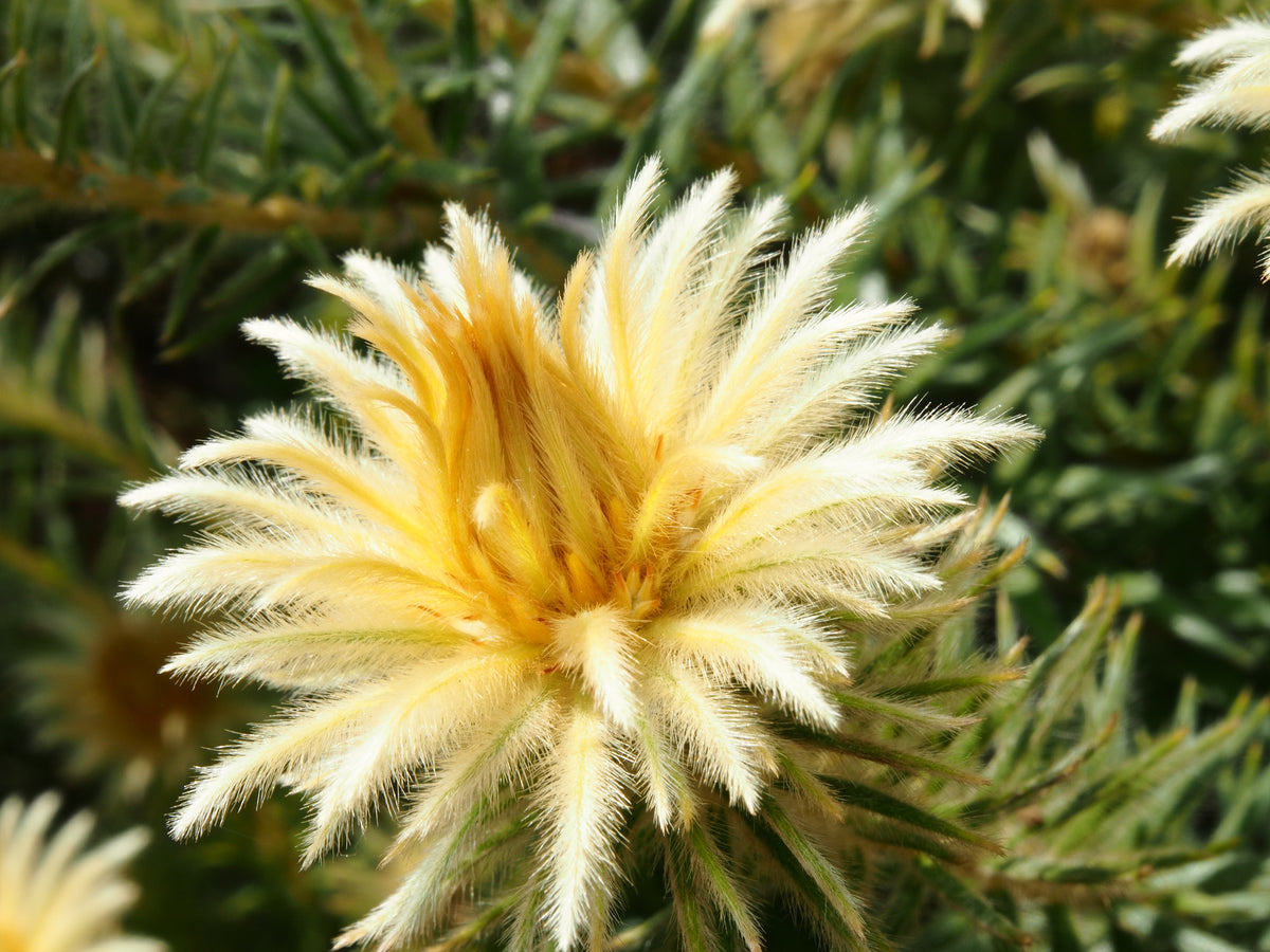 Image filtering test